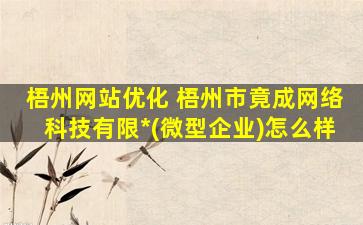 梧州网站优化 梧州市竟成网络科技有限*(微型企业)怎么样